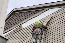 Best Historical Building Siding Restoration  in Riverton, NJ